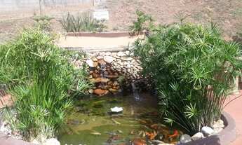 Imagem 3: Apartamento para locação Rio das Pedras