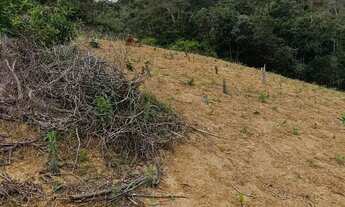 Imagem 3: Vendo sitio15.000m² valor 79.999