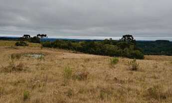 Imagem: 70 hectares de campo em São Francisco de