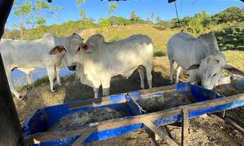 Imagem: Terreno para sítio/ chácara