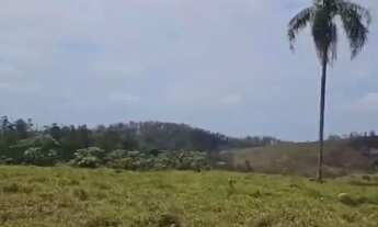 Imagem 4: Lotes com Pé na Água