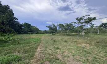 Imagem 4: TERRENO SITIO ESTRADA AM070 - KM 32 Oportunidade unica!
