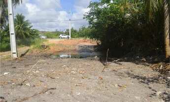 Imagem: Sua Oportunidade de Investimento em Maragogi!