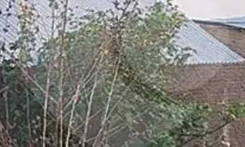 Imagem 6: Casa com 1 quartos à venda em Centro - RR