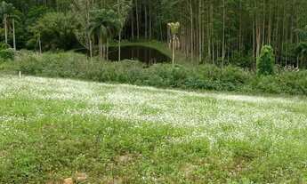 Imagem 3: Vendo Lote em Calcaia do Alto Entrada Facilitada no Boleto!