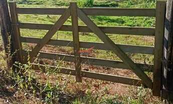 Imagem 2: Chácara para Venda na zona rural de Coimbra MG