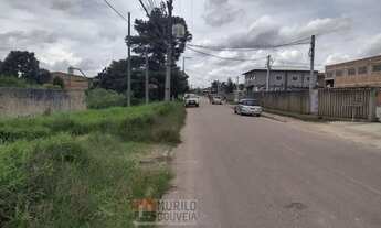 Imagem 4: Terreno com 15.000 m², à venda por R$ 11.200.000 - Eucaliptos, Fazenda Rio Grande (PR