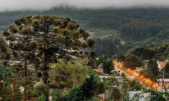 Imagem 6: Terreno - Bairro Várzea Grande