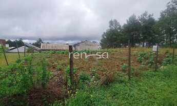 Imagem 2: Terreno para venda, Morada Dos Alpes, Caxias Do Sul