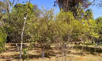 Imagem 4: Imóvel para venda tem 400 metros quadrados com 5 quartos