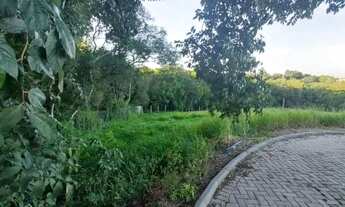 Imagem 2: Ótimo lote à venda no Condomínio Saint Louis, em Viamão!