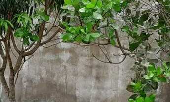 Imagem 3: Vende-se excelente terreno em Chapada dos Guimarães-MT