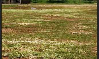 Imagem 3: Terreno Condomínio Aldeia dos Lagos Icém