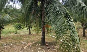 Imagem 4: Fazenda com 5 dormitórios à venda, 3968800 m² por R$ 5.740.000 - Zona Rural - Cavalcante/G