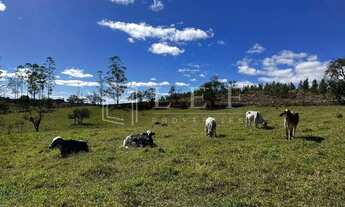 Imagem: Sitio a Venda em Pilar do Sul - SP