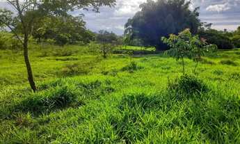 Imagem 6: Chácaras de 20mil mt em maripotaba última unidade!
