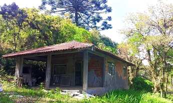 Imagem 7: Chácara em Tijucas do Sul, Paraná!