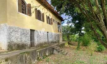 Imagem 4: Sítio - Área Rural de Mogi Guaçu - Mogi Guaçu