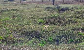 Imagem 2: Terreno Beira-Mar - 907,5 m²