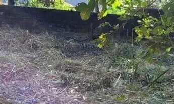 Imagem 4: AREA - CITY AMÉRICA - SP