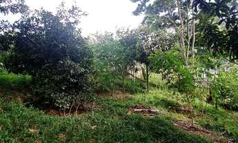 Imagem: Super terreno rico em água apenas 600 MTS