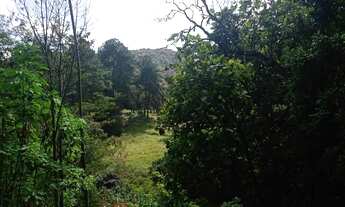 Imagem 5: Super terreno rico em água apenas 600 MTS do asfalto e ponto de ônibus