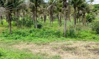 Imagem 5: 8 hectare em Gloria do Goitá à 3.5 km do centro