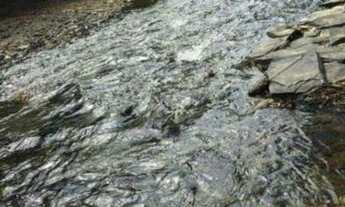 Imagem 3: Lindo sitio de 10 mil metros, Jaboticatubas (Temos varias opções)