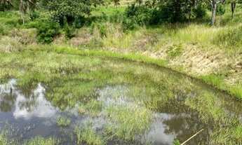 Imagem 3: 8 hectare em Gloria do Goitá à 3.5 km do centro