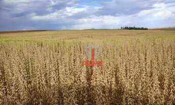 Imagem 7: Sítio à venda por R$ 6.500.000 - Rural - Andirá/PR