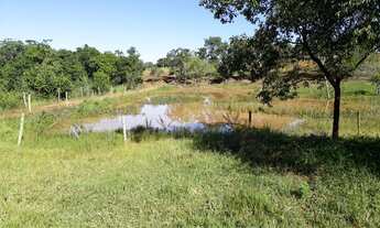 Imagem 6: Fazenda/Sítio/Chácara para venda ou troca em imóvel em Uberlândia!