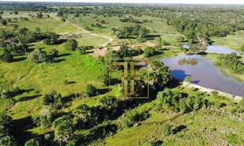 Imagem 2: Fazenda 82 Alqueires, Jaú do Tocantins, TO