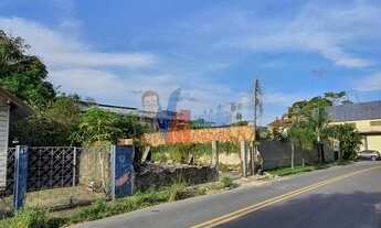 Imagem 5: Terreno para fins comerciais entre Adrianópolis e São Francisco