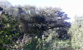 Imagem 5: Vendo Sítio com 1195,00m2 de terreno com riacho