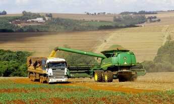 Imagem 5: Gt;Fazenda/Sítio/Chácara para venda tem 2000 metros quadrados com 4 quartos em Base - Rio
