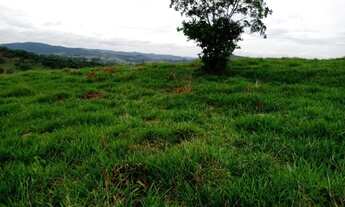 Imagem: Terreno 24 ha com Excelente Topografia Terra