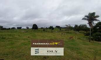 Imagem 6: Oportunidade Extra ! Fazenda em Uruaçu ! 104 Alqueires !