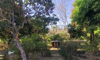 Imagem 4: Lindo sitio de 5.200 m² córregos nos fundos, nascente,Jaboticatubas