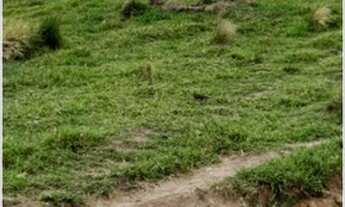 Imagem 3: Back) comigo tem desconto