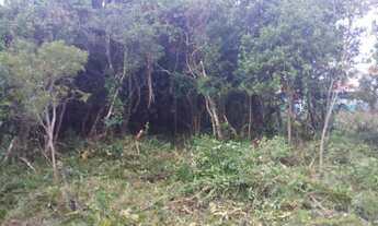 Imagem 3: Vendo Lote c/ 375,00 m2 - Praia do Ervino - SFS ( barato, barato