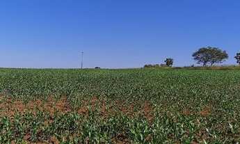 Imagem 5: Fazenda DF 260 !!! 29.700.000 !!!