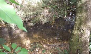 Imagem 5: Maravilhosa fazendinha de 20.000m² com água corrente,Jaboticatubas (Temos varias opções)