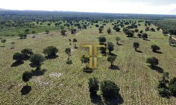 Imagem 6: Fazenda 82 Alqueires, Jaú do Tocantins, TO