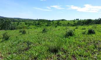 Imagem 8: Fazenda em Corumbaíba