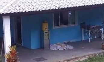 Imagem 3: Casa com 4 quartos à venda, 900 m²