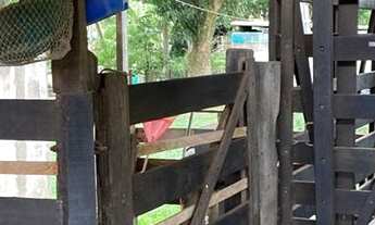 Imagem 4: Zona Rural, SITIO DE BELEZA RARA A 10 MINUTOS DO CENTRO