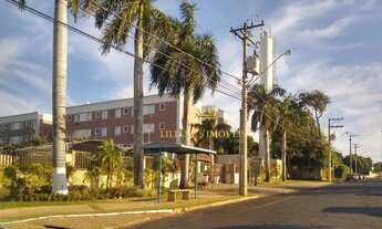 Imagem 3: Apartamento com 2 dormitórios à venda, 49 m² por R$ 133.000,00 - Jardim Primor - Araraquar