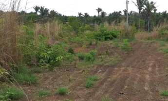 Imagem 4: Vende Terreno com 4Hectares Codó