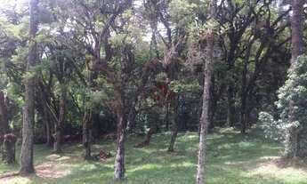 Imagem 2: Terreno no Condomínio Altos Pinheiros em Canela!