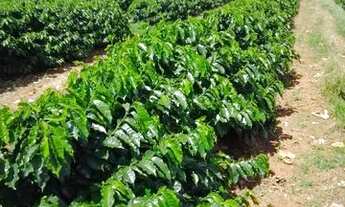 Imagem 4: Fazenda para Venda em Centro Varginha-MG - 3302